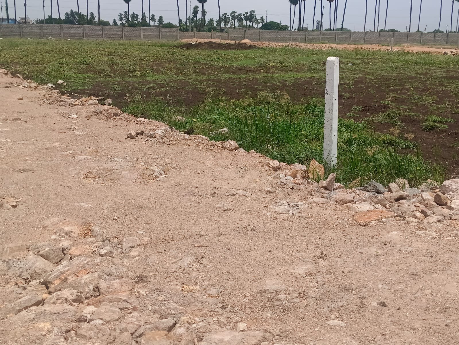 Roadside Panchayati Plots @ Bandipalem, NTR Dist.